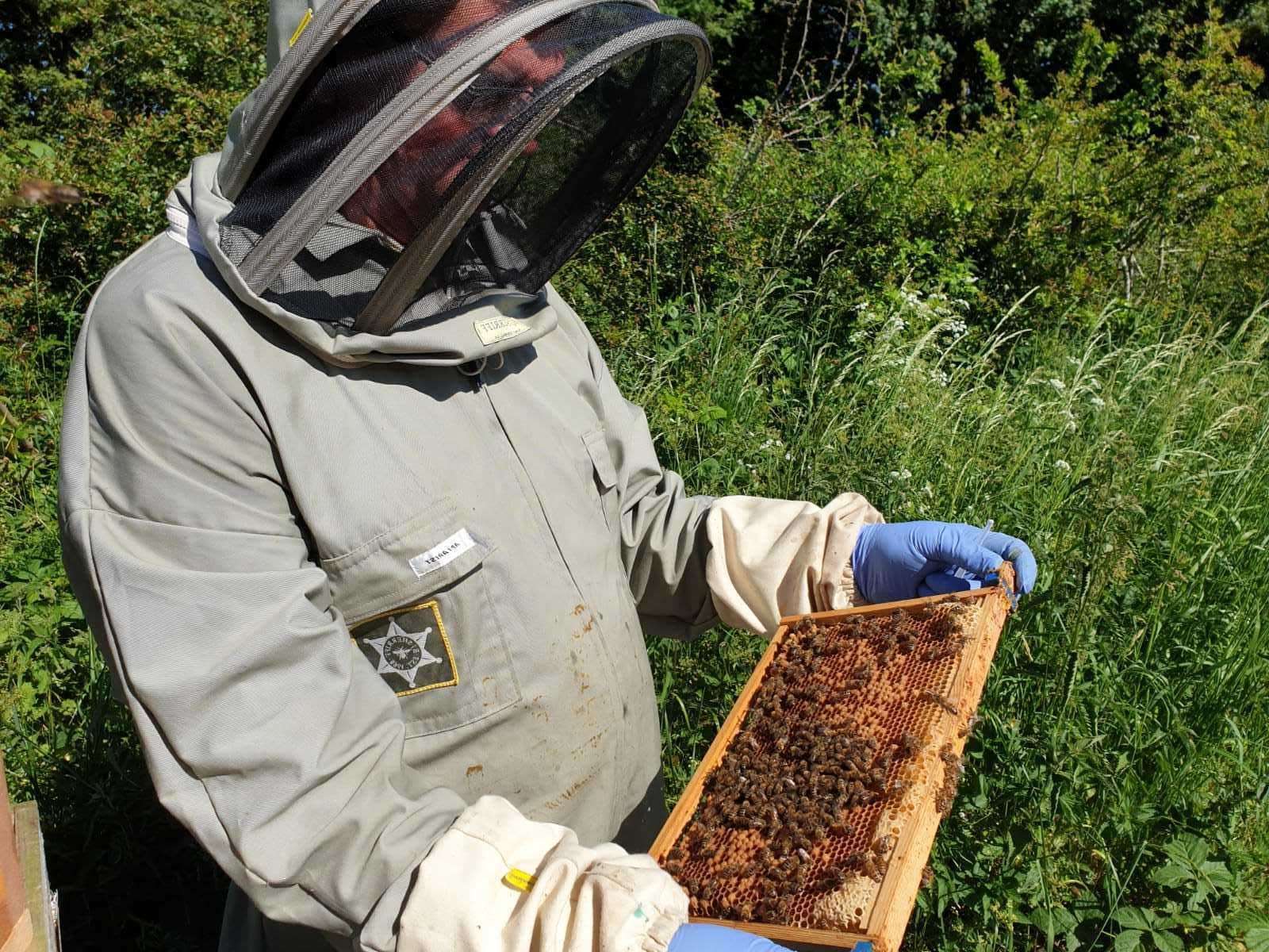 Bob Halsey has been keeping bees all of his life. (48522358)
