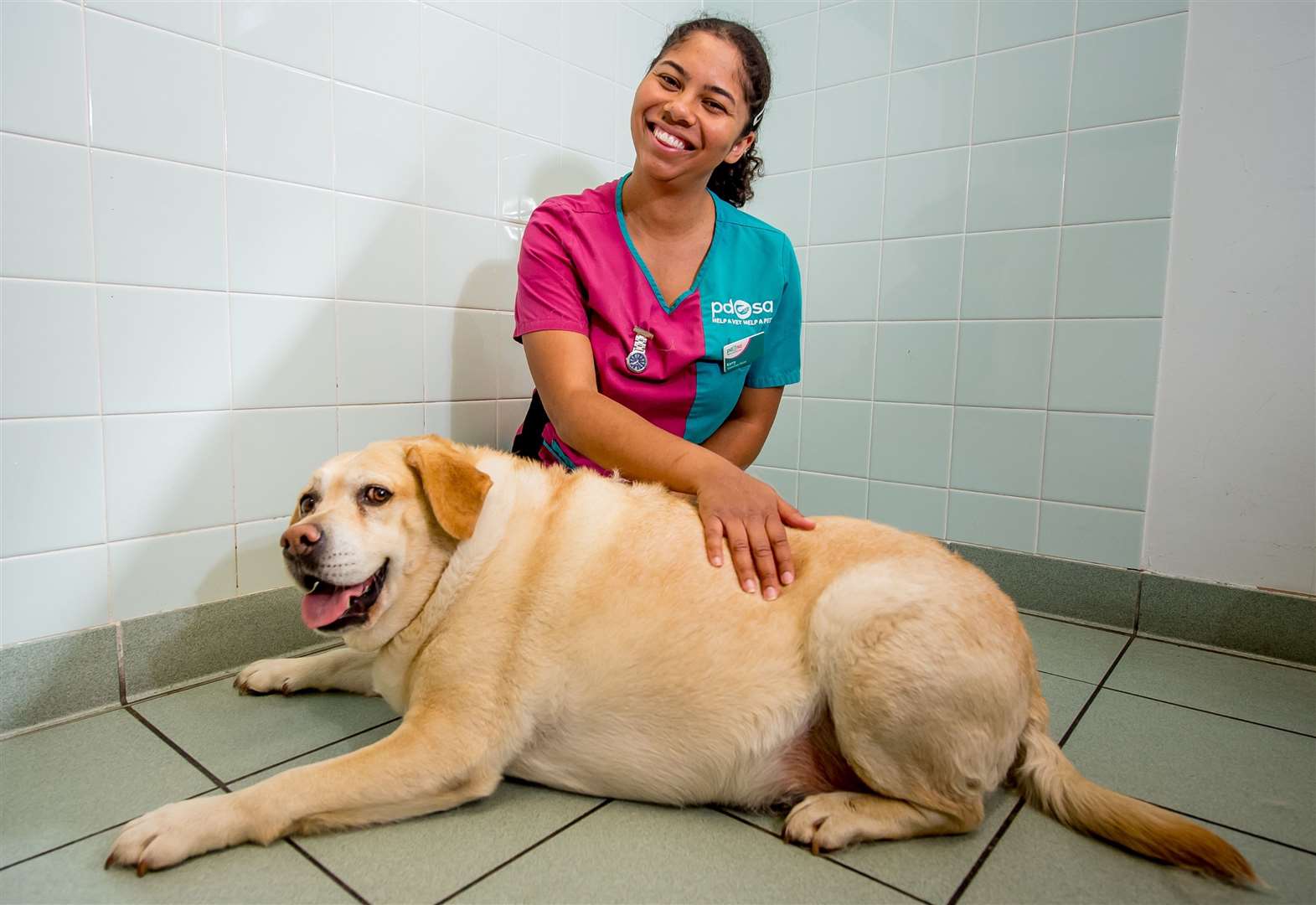 The PDSA has expressed its concern at the number of pets putting on weight over lockdown (51105140)