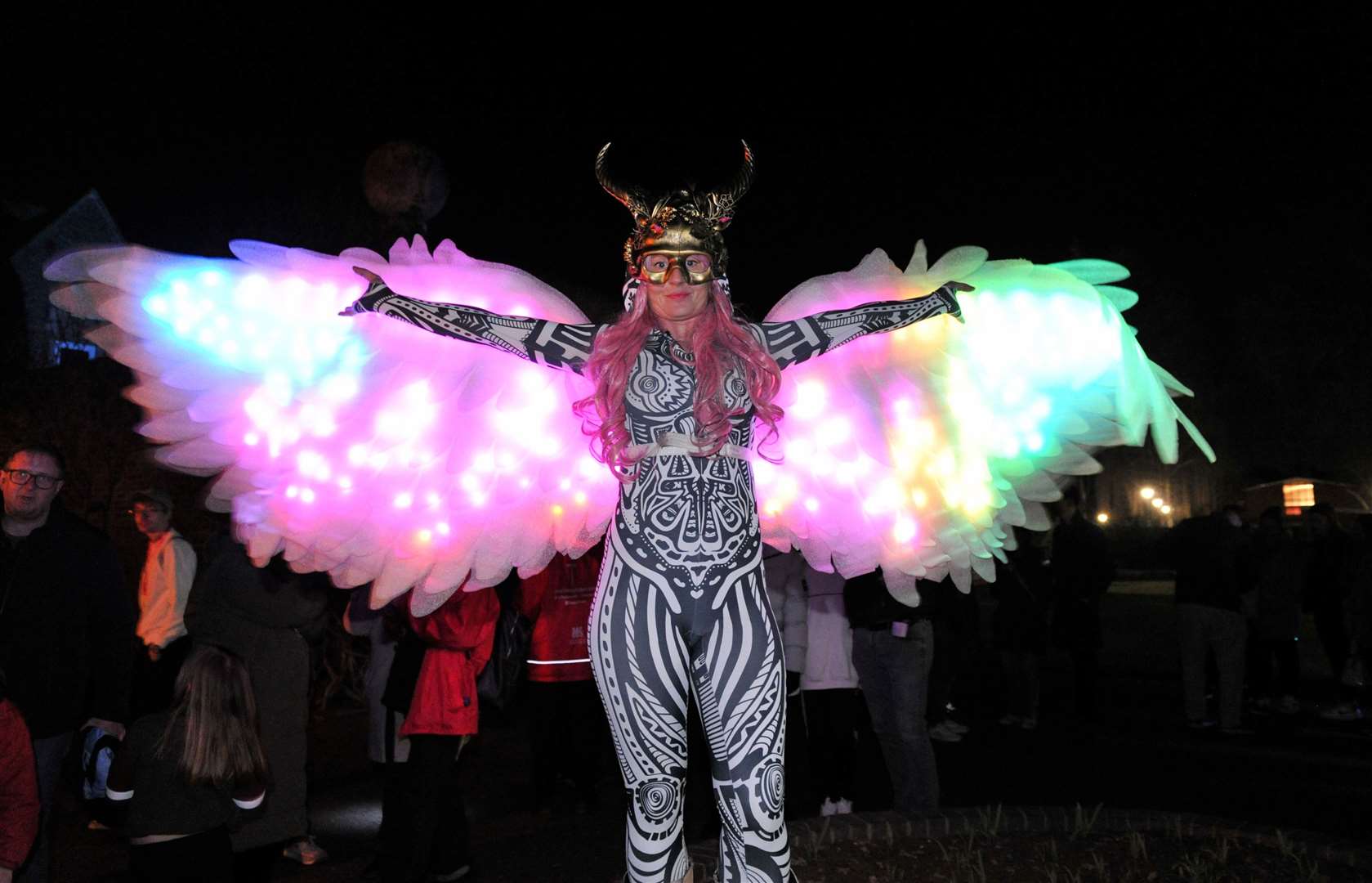 Performers helped to create a big buzz during Light Night at Spalding's Ayscoughfee Gardens