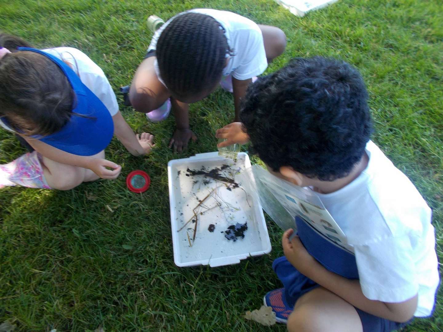 The children found some wildlife after pond dipping.