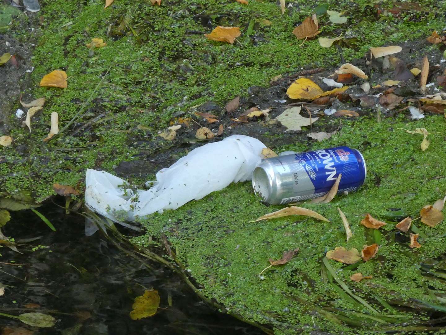 Rivercare. (18094243)