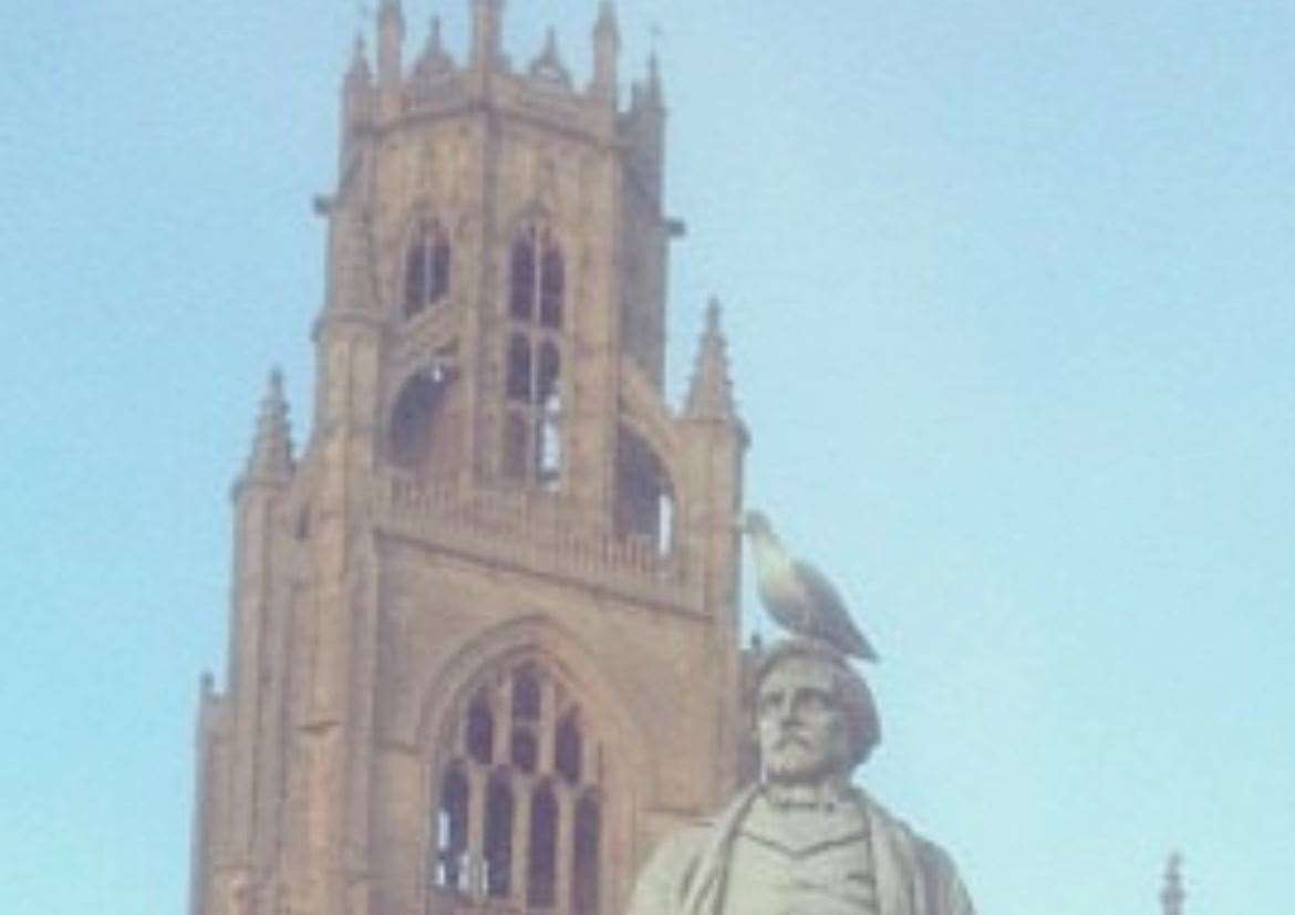 There will be fines for feeding wild birds in Boston