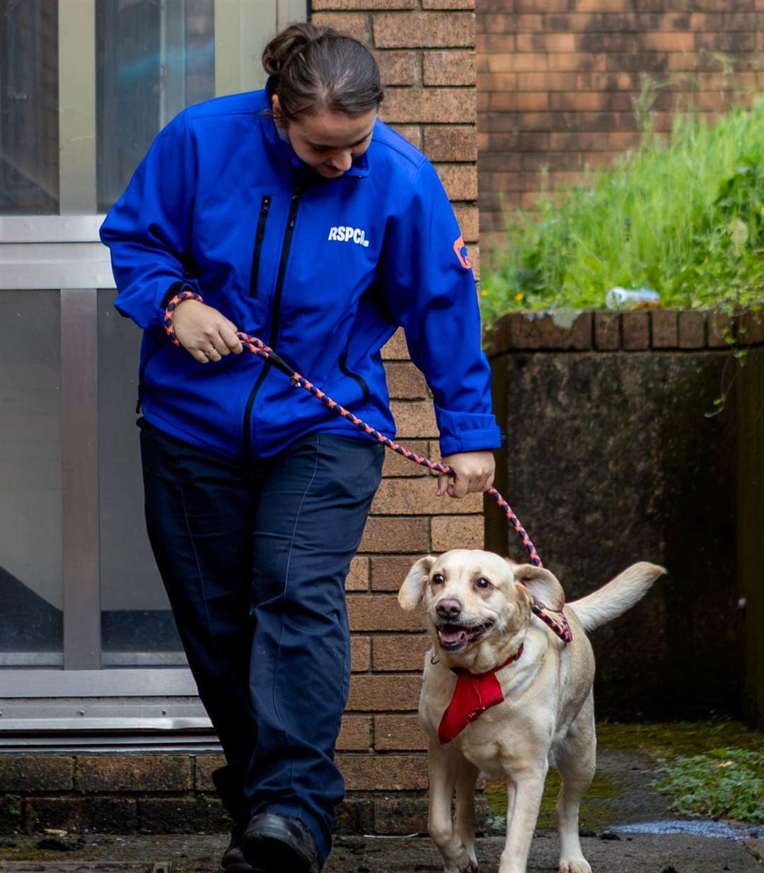 RSPCA is recruiting a new animal rescue officer for the area