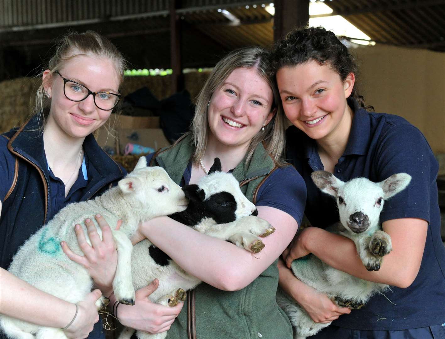 Helpers on the farm have a rewarding job - Abbey Simmons, Grace Palmer Brown and Caitlin Morris