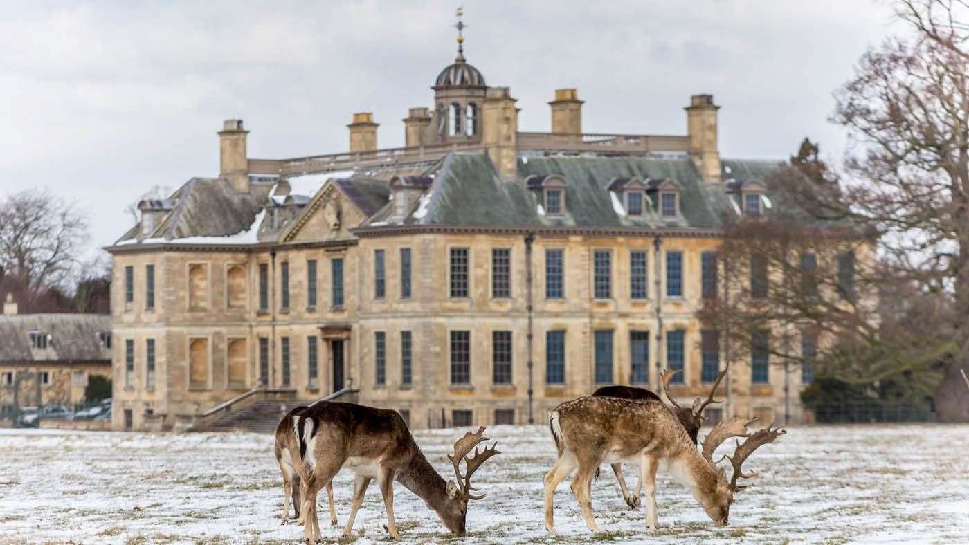 Belton House in the snow with deer. Photo: Instinctive Photography