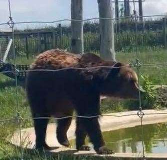 The site has more than 45 different types of animals