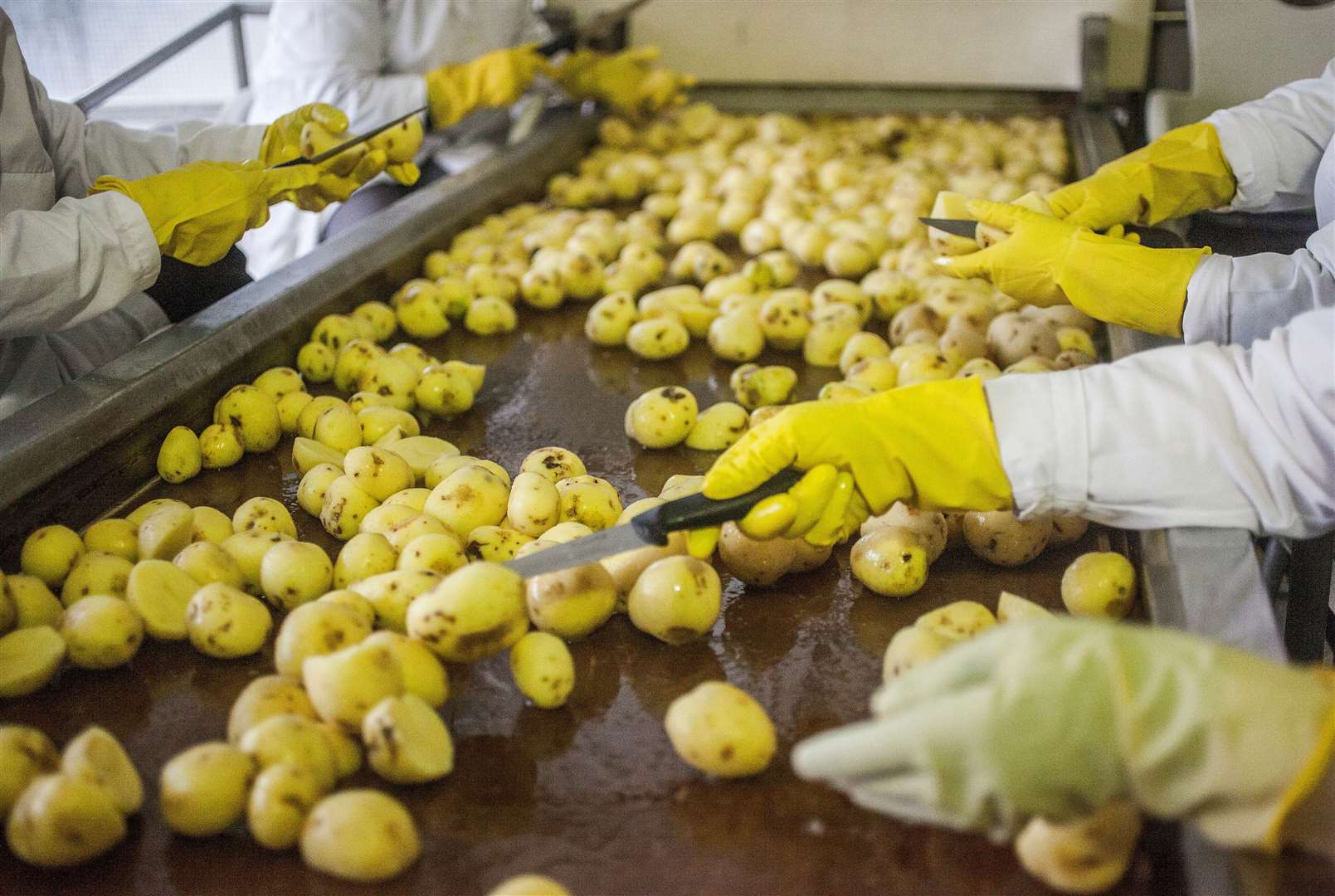 People in South Holland have been recognised for their hard work Photo: istock/SlobodanMiljevic