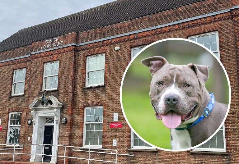 Spalding dog owner must comply with conditions or banned breed pit bull terrier faces destruction, court says