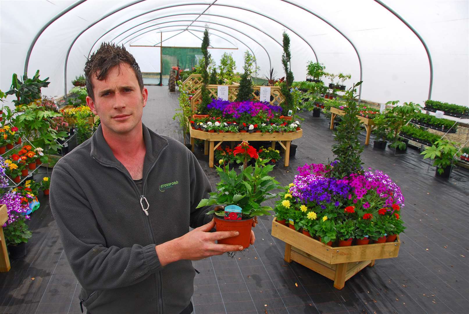 Henry Bingham, Crossroads Nursery, Quadring.Henry Bingham at new retail outlet, also with two Engl;ish Bluebell fields. (48882043)