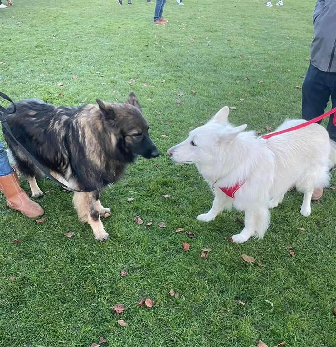 Jax and Misti