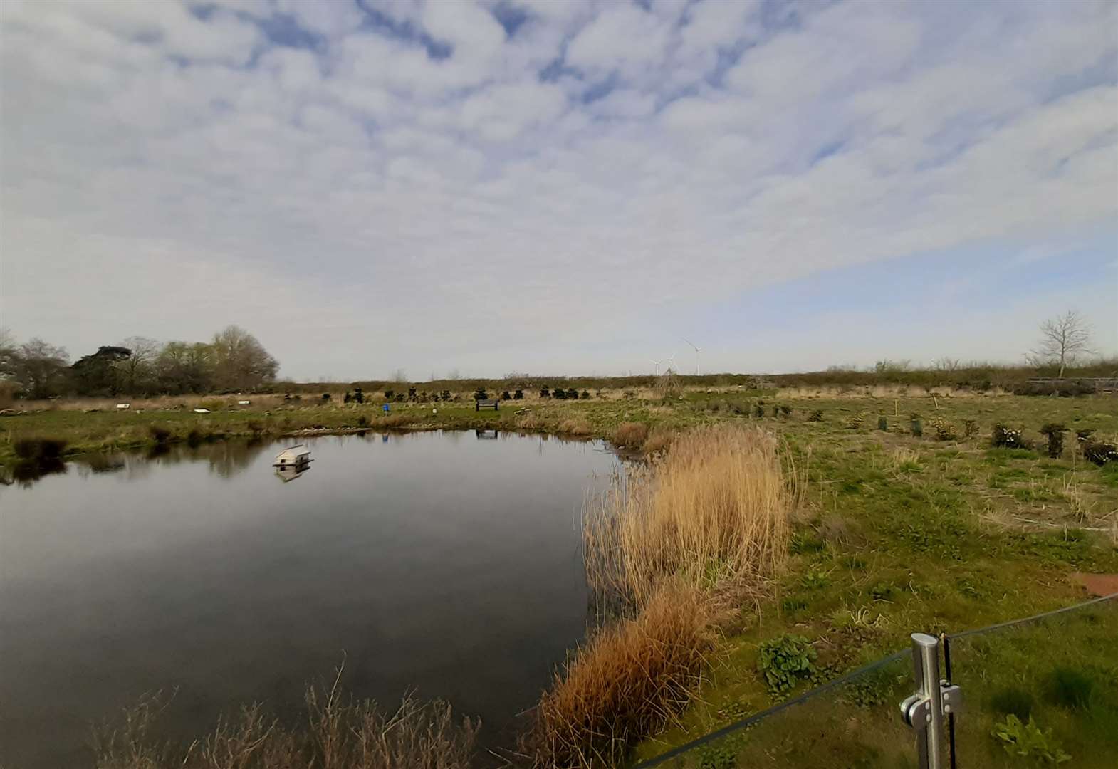 You can enjoy views of the wildlife garden at Vine House Farm in Deeping St Nicholas