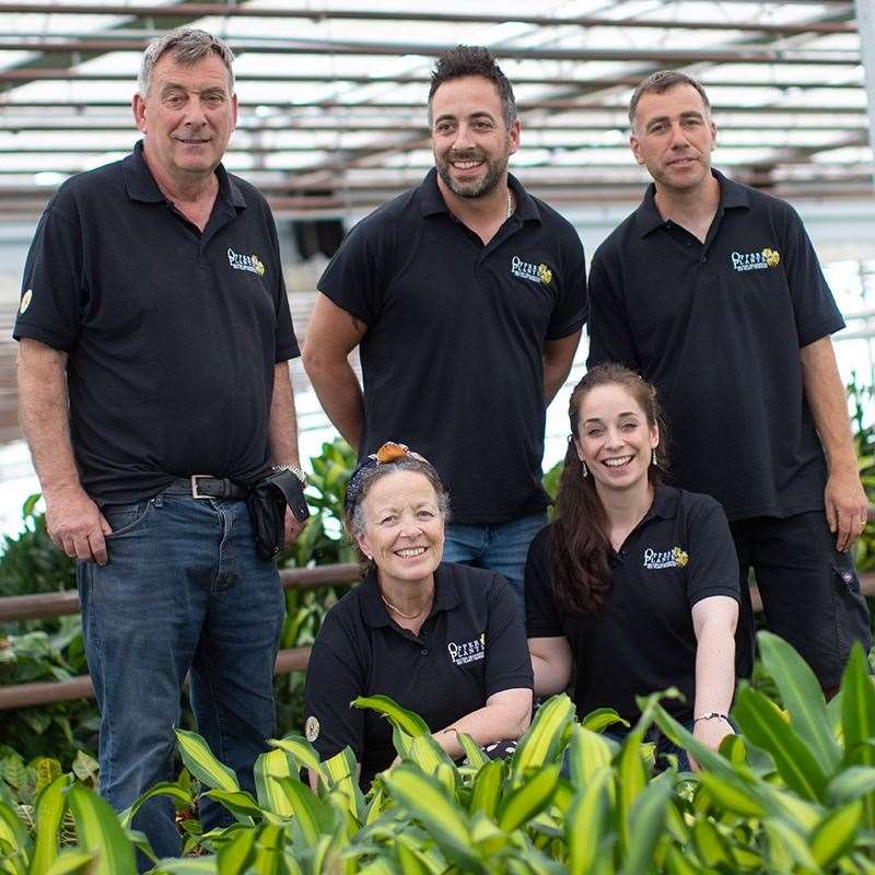 Opperman plants is a family run business