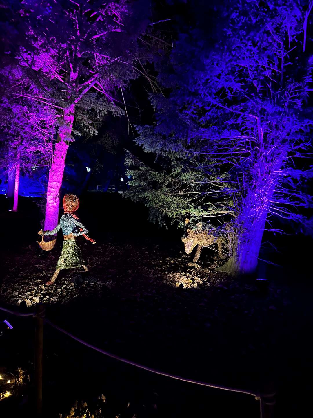 Little Red Riding Hood and the wolf