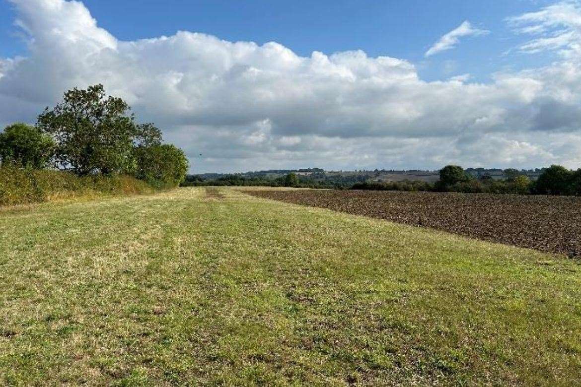 Agricultural land will be used for the facility. Photo: Rutland Vineyard / 3D Planning Ltd