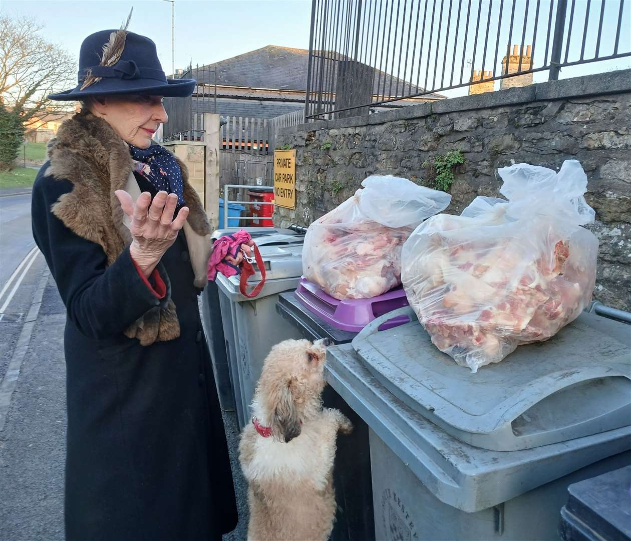 Bettina Bryan and her dog, Tommy, with the bags of butchered animal parts which were left in her recycling bins