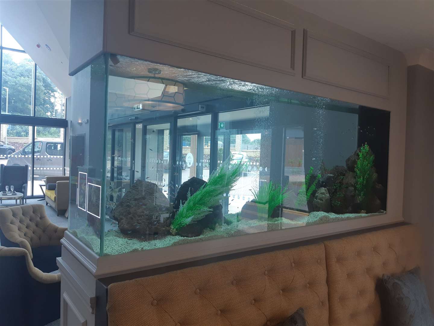 The entrance has a feature fish tank