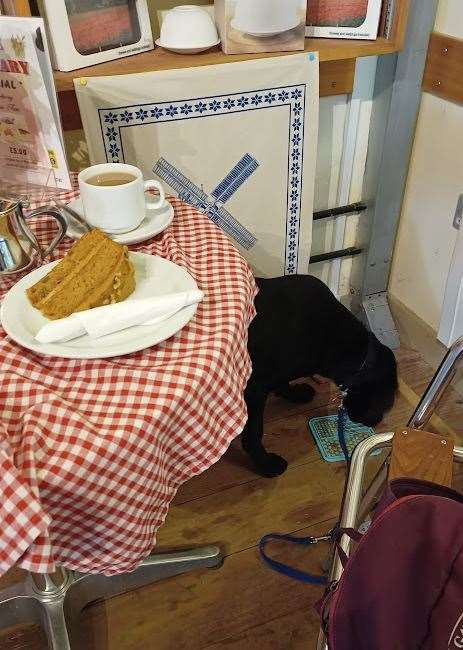 Rita is learning how to behave in a cafe