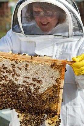 Tanya Walton tending to her bees.