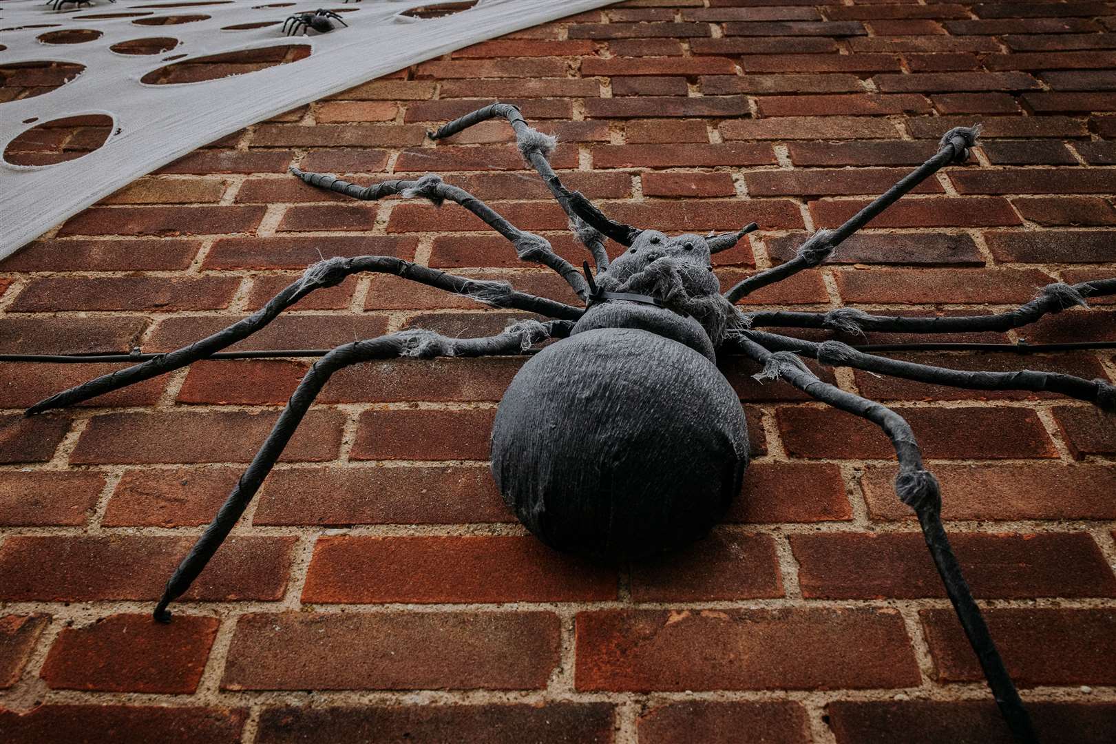 Photographer Lizzie Adams and daughter Elsie have decorated their Oakham home for Halloween