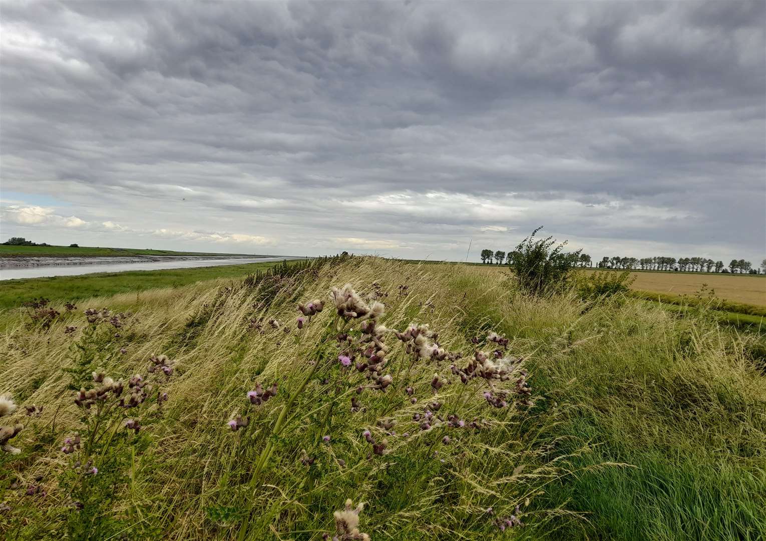 The rural walk to the rear of the Sir Peter Scott Lighthouse, Sutton Bridge, Lincolnshire. Copyright Kate Chapman (80)