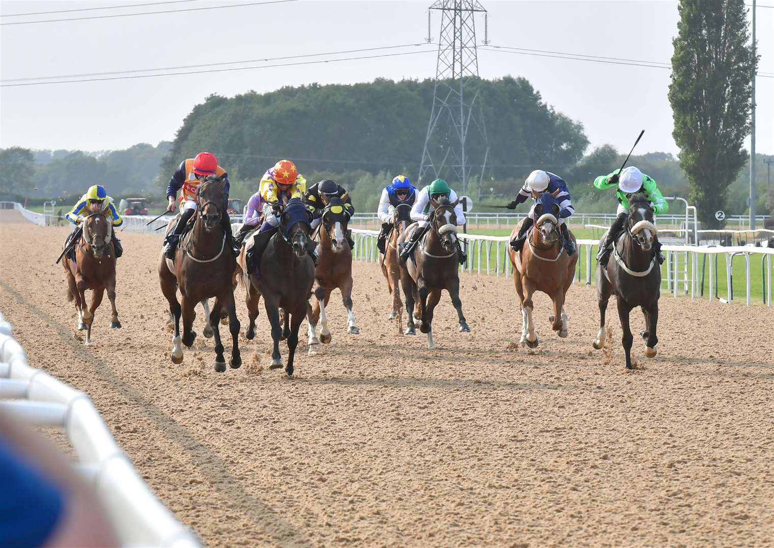 Race action at Advertiser Ladies Day.