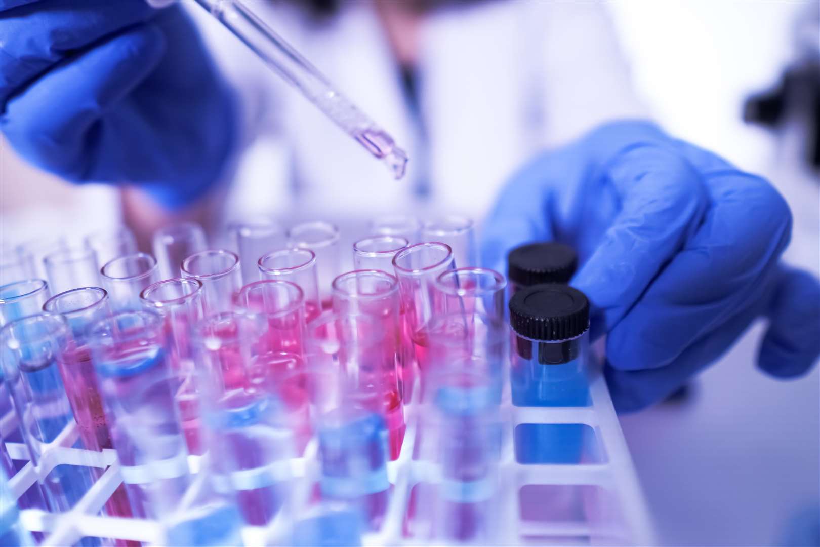Omicron XE has been created in cells of someone infected by two Omicron strains BA.1 and BA.2. Image: Stock photo.