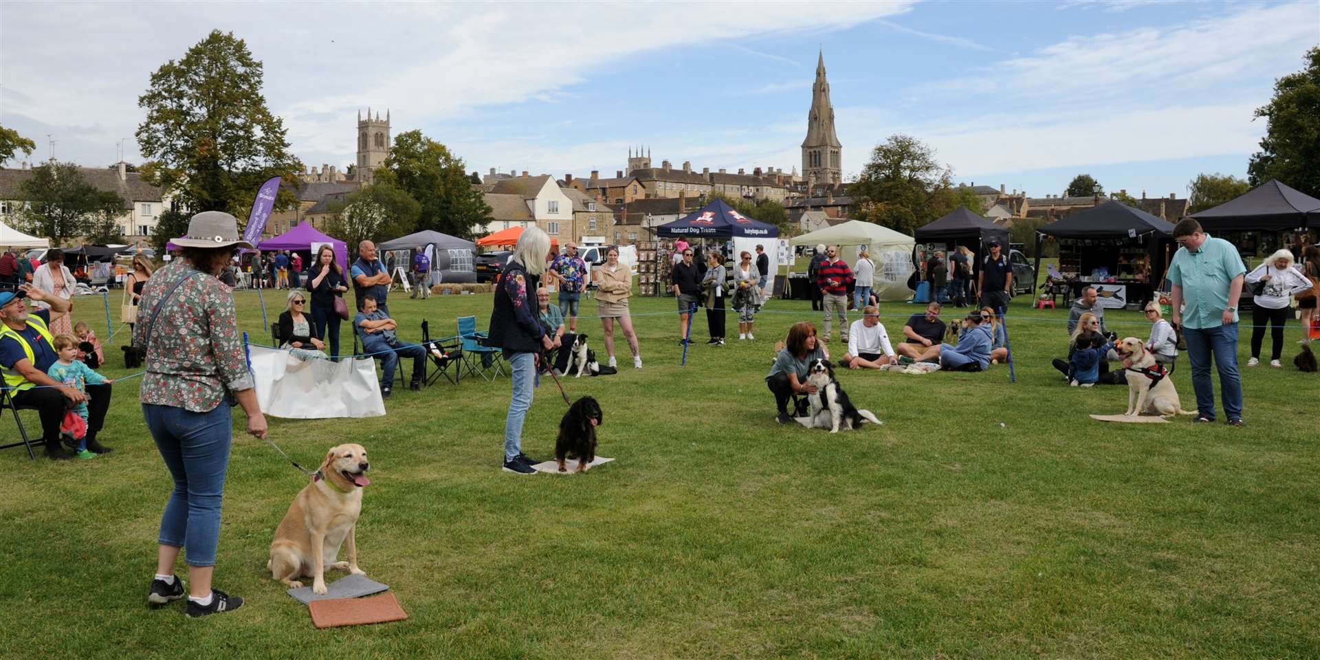 The dogs played musical mats. Photo: Chris Lowndes