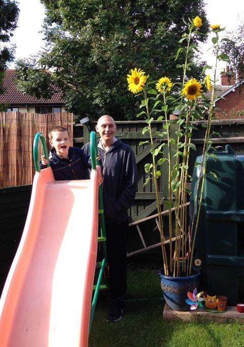 Ryan with dad Neill Williams - and the sunflowers Ryan grew to earn his green Blue Peter badge. Photo supplied. (4696844)