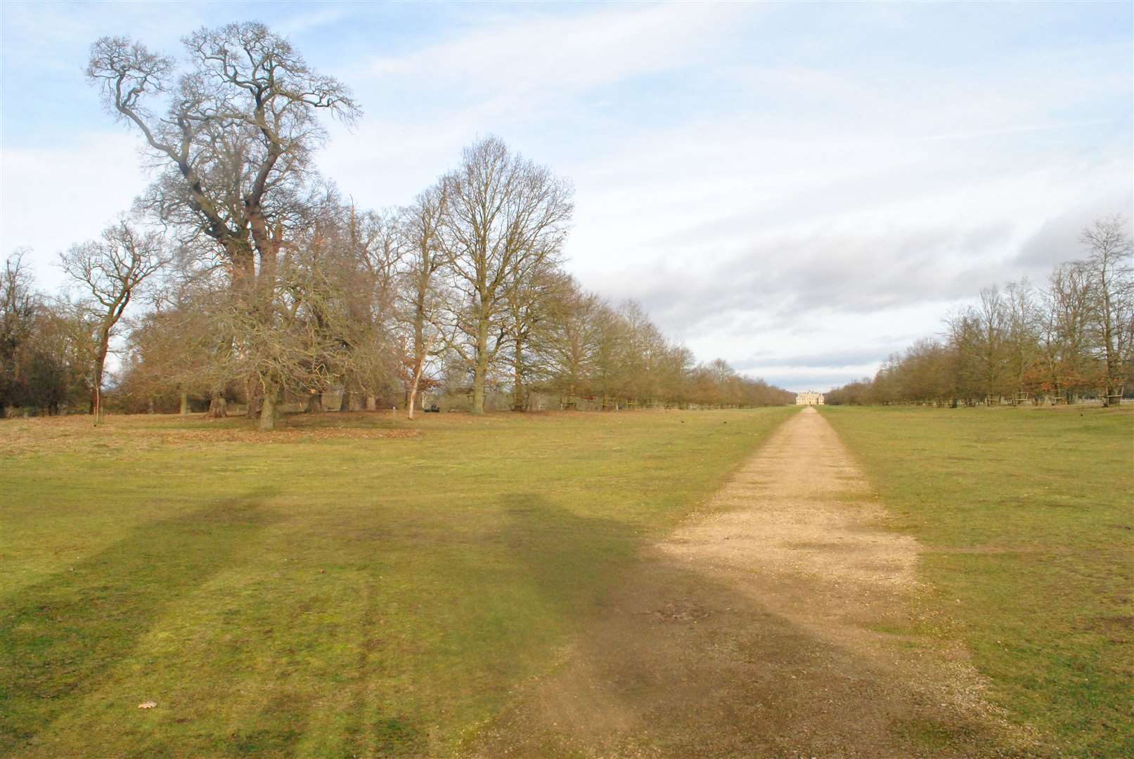 The mile-long drive from the Lion Gates to Belton House. (62238561)
