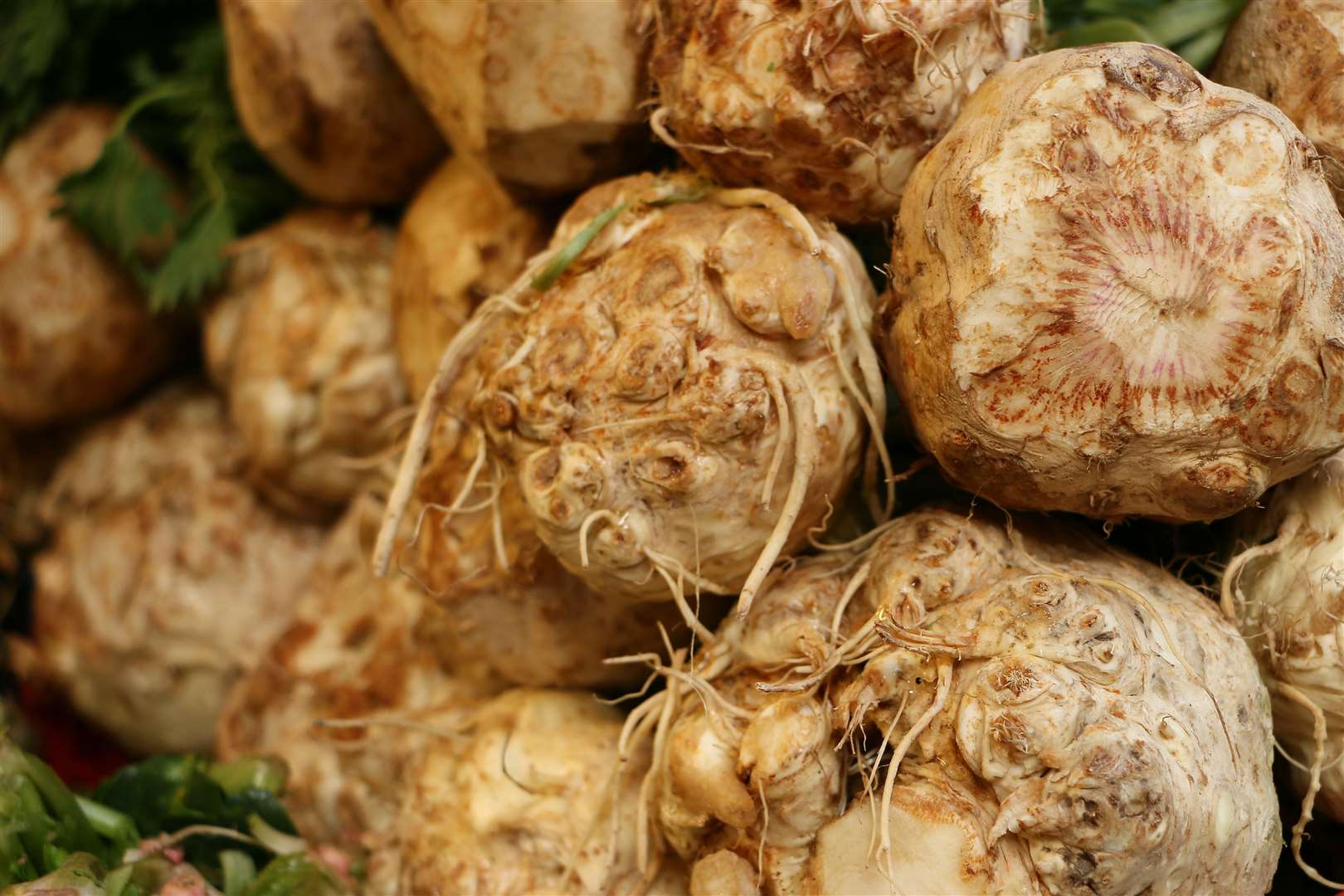There's been a huge demand for celeriac with Tesco now selling more than one million each year.