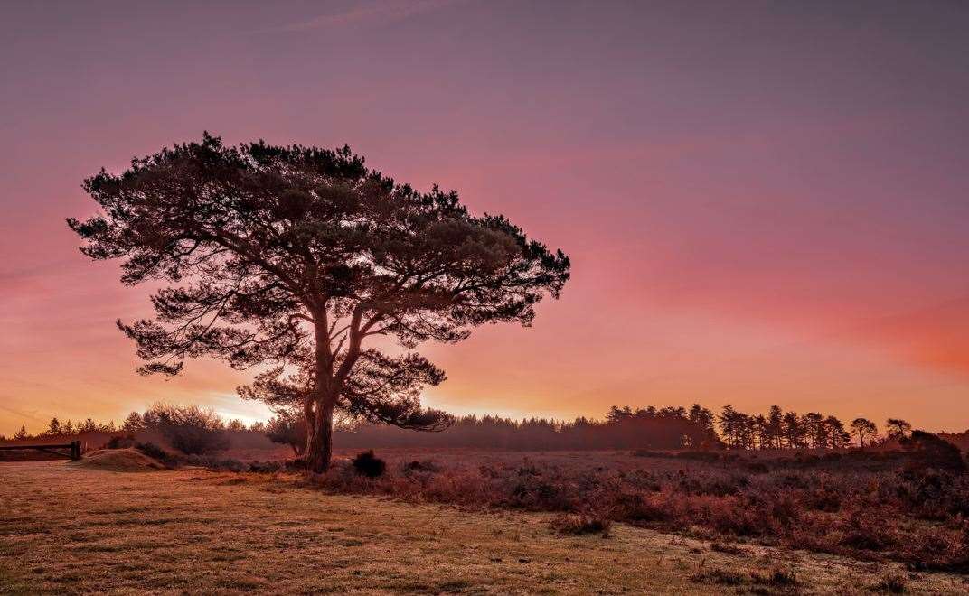 Arriving 30 minutes before sunset ensures that you're set up and ready. Pictures: Carl Hare