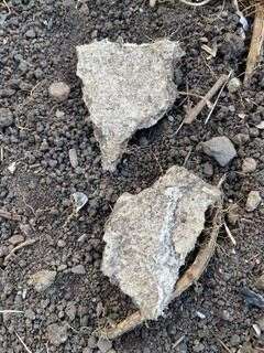 Asbestos will be removed from 152 council homes on the Earlesfield Estate. (57965742)