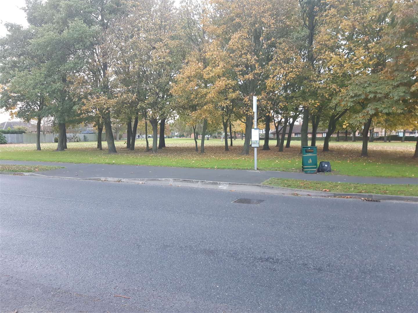 The Parkway in Spalding (52975716)