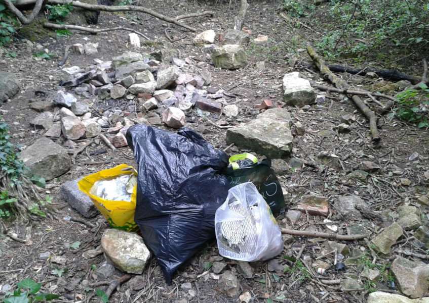 Mary collected rubbish in these bags on the Hills and Hollows