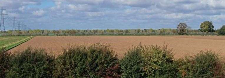 An artists' impression of trees screening the Surfleet Marsh substation PHOTO: OUTER DOWSING