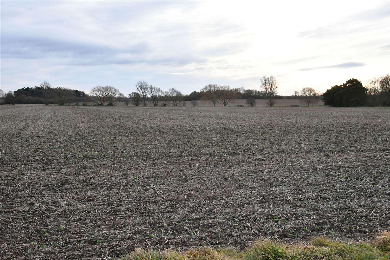 Neil Smith from the Hawksworth and Thoroton Action Group, pictured with fields where the solar farm will be. (62236273)