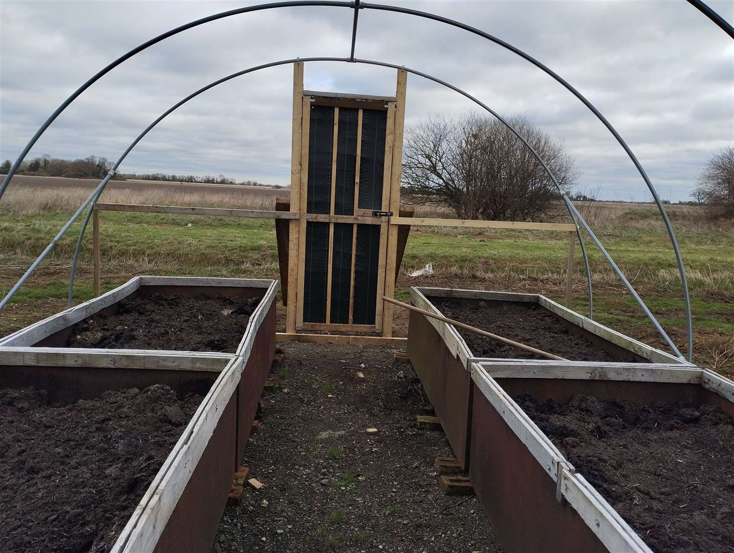 Polytunnels are being constructed near Bourne to grow the ginger