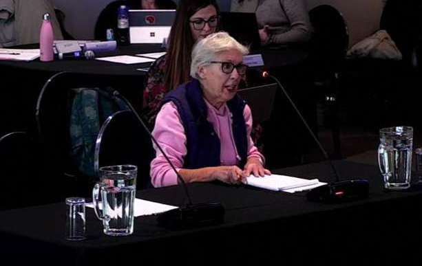 Jenny Pennington speaks at a hearing regarding Outer Dowsing Offshore