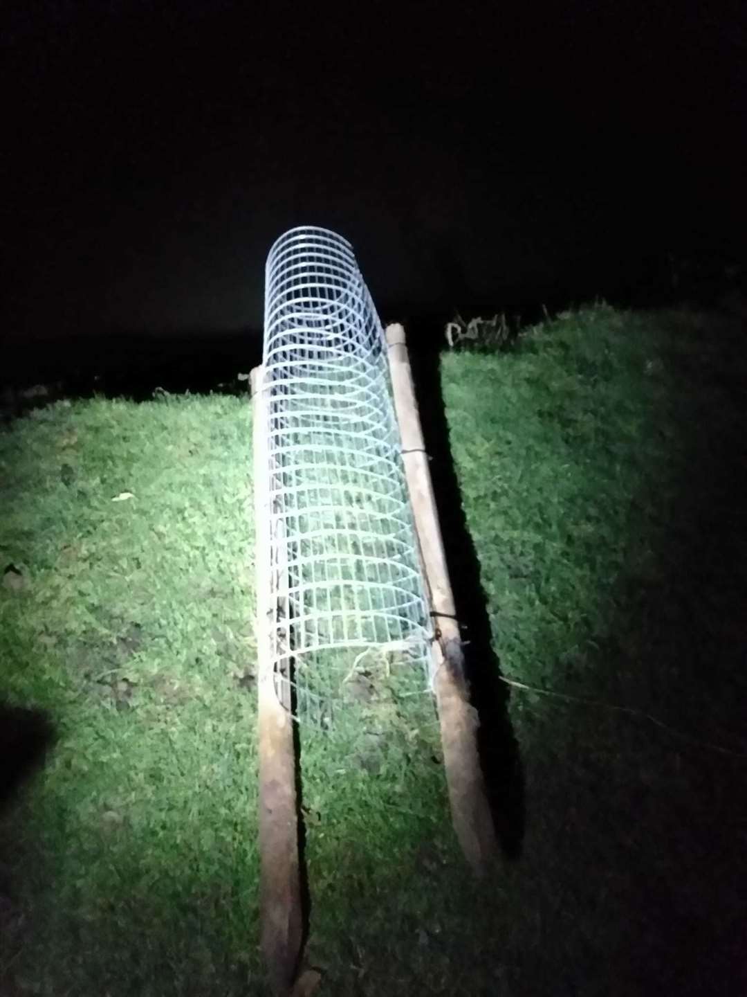 A memorial tree on the Stamford Meadows was ripped up and put in the River Welland. Photo: Neil Mcivor