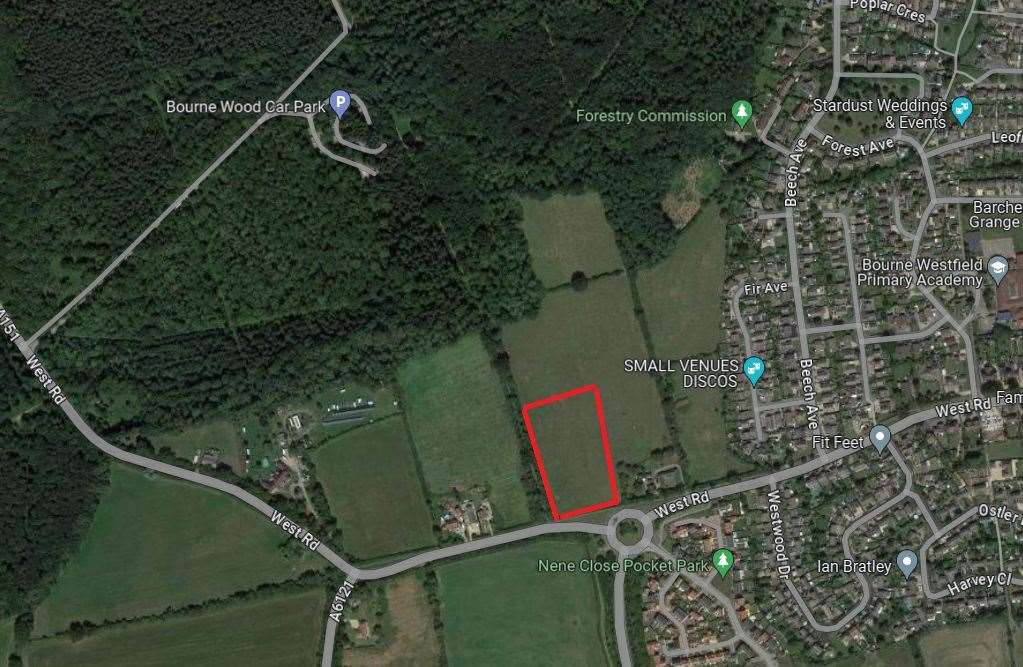 The greenfield site chosen by Aldi close to Bourne Wood. Photo: Google Maps