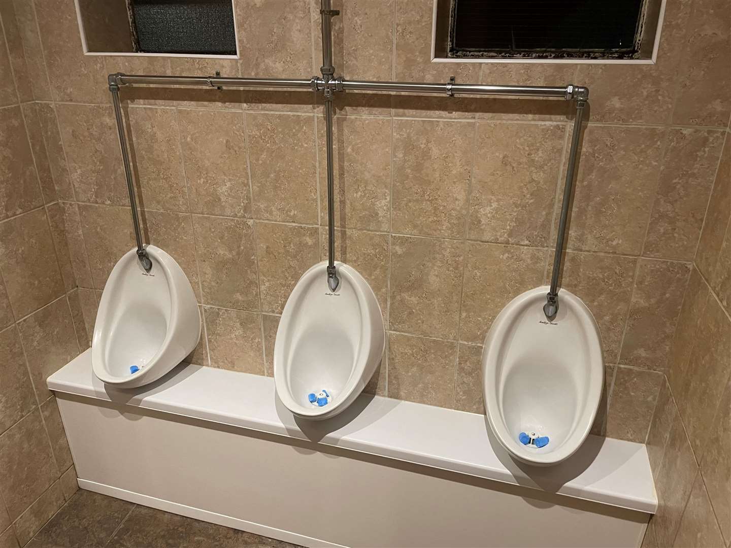 Nicely clean toilets, but with very low urinals
