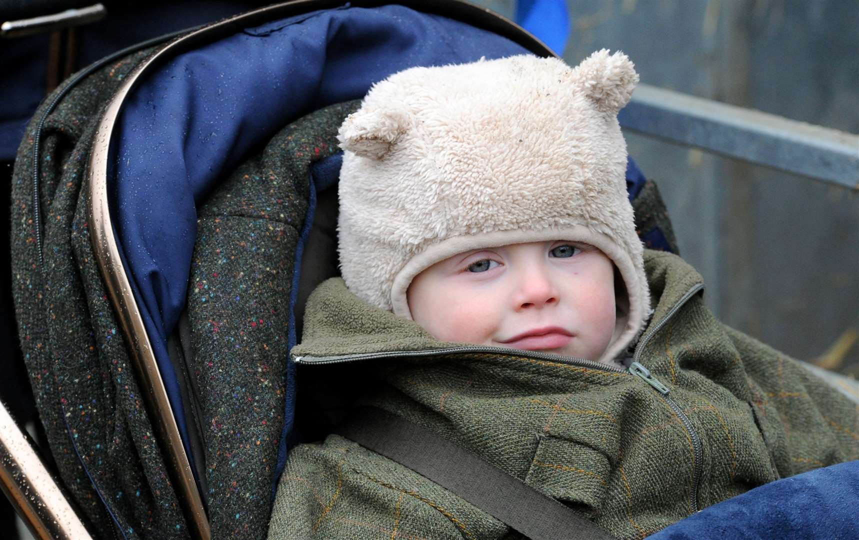 Seth Mitchell watches the animals. Photo: Chris Lowndes.