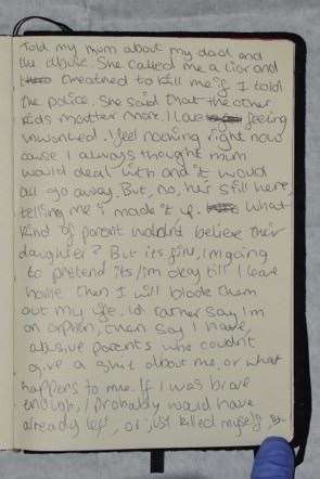 Extract from Bea's notebook (51099309)