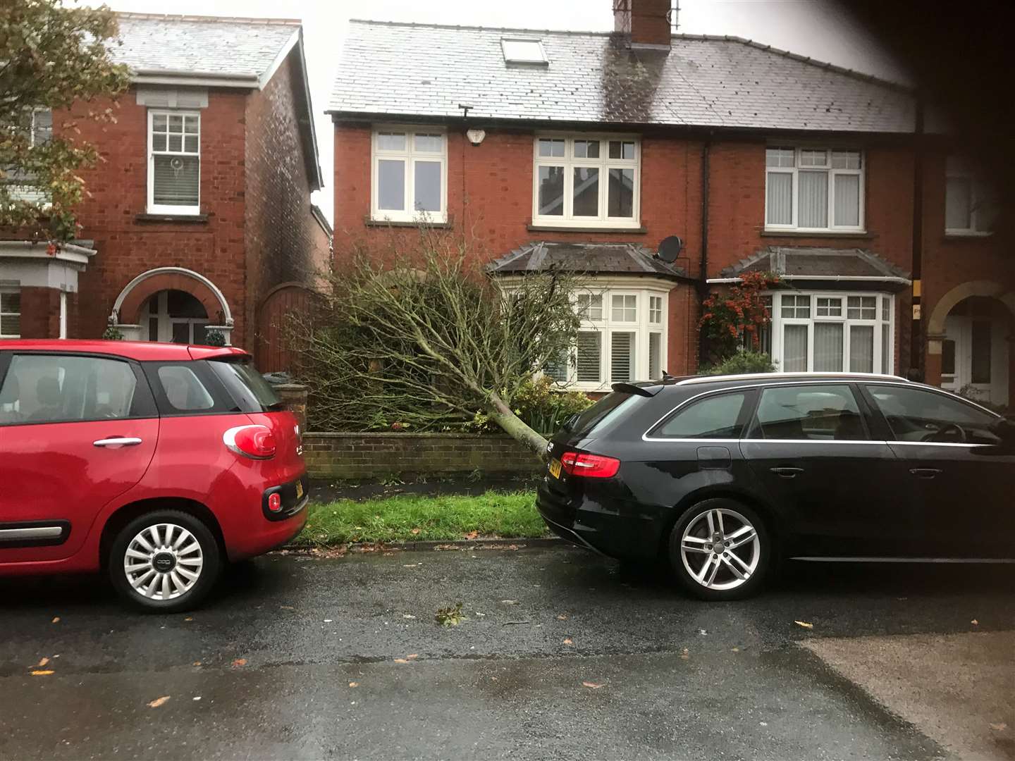 A tree has blown down in Kings Road, covering a front door