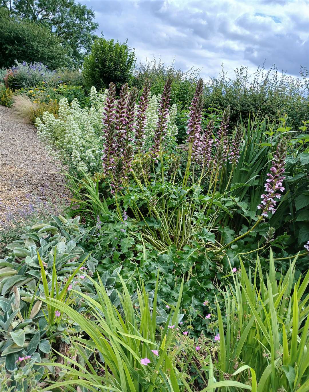 The mature borders at Home Farm feature a huge number of plants