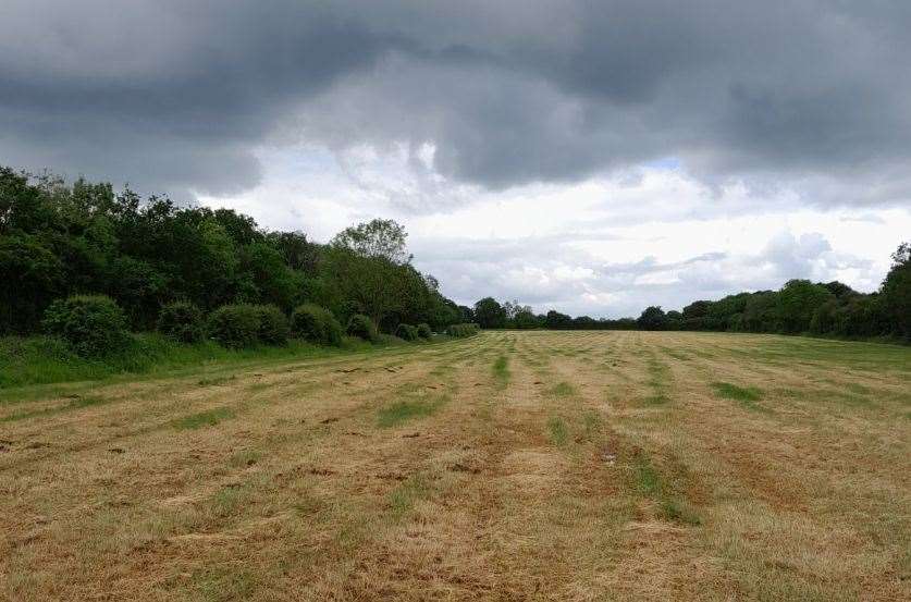 The application site facing south-west. Photo: ELDC