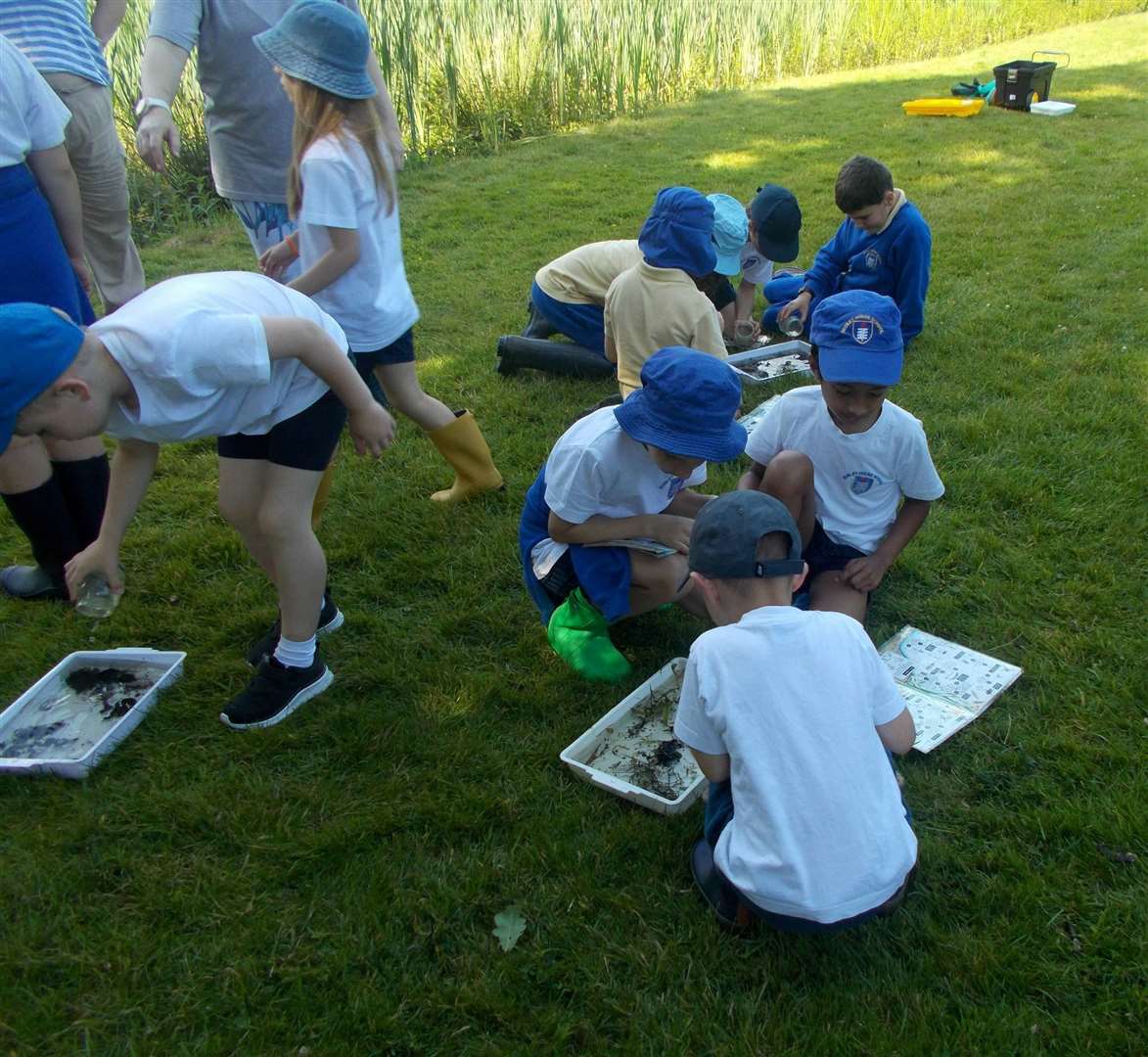 The children found some wildlife after pond dipping.