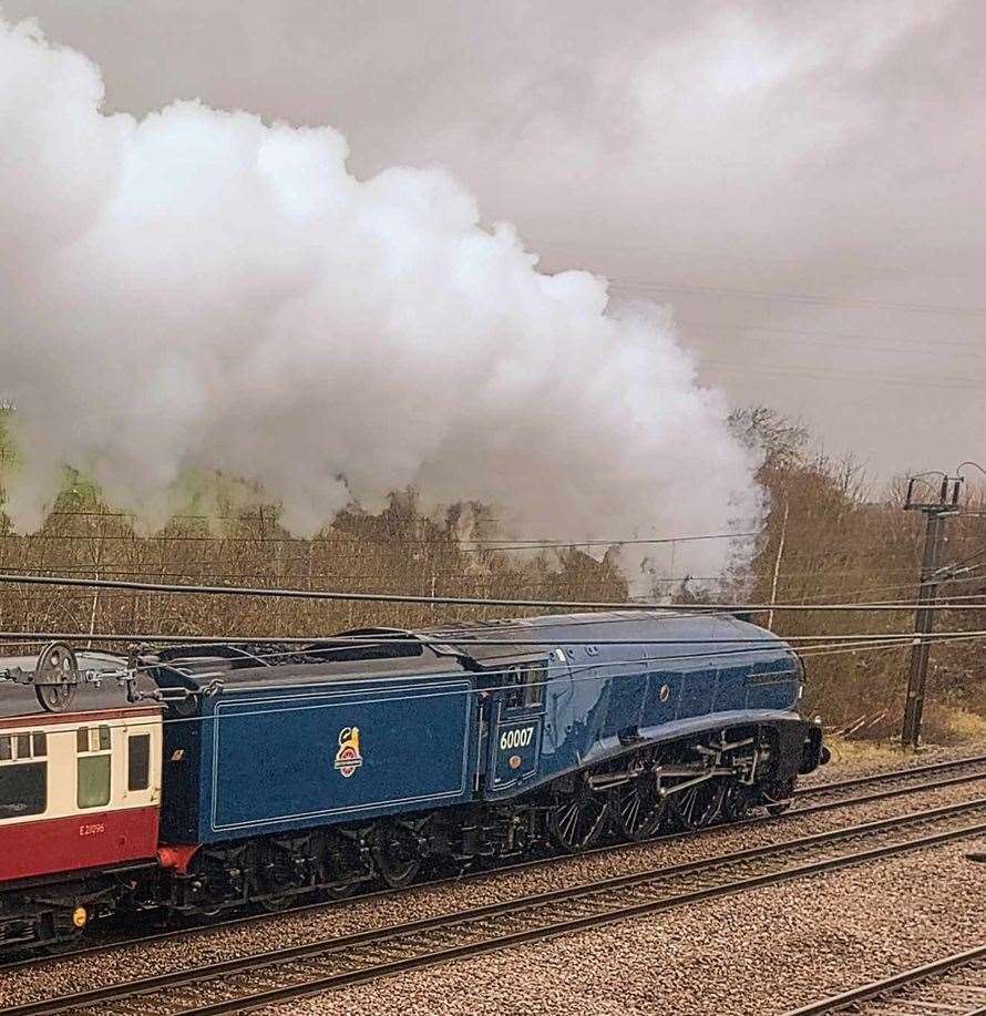 The train caught many people's attention. | Image: Matt Seymour