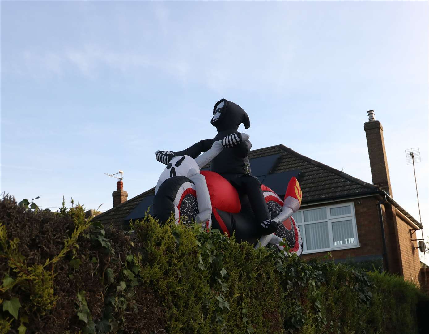 A death rider on the hedge