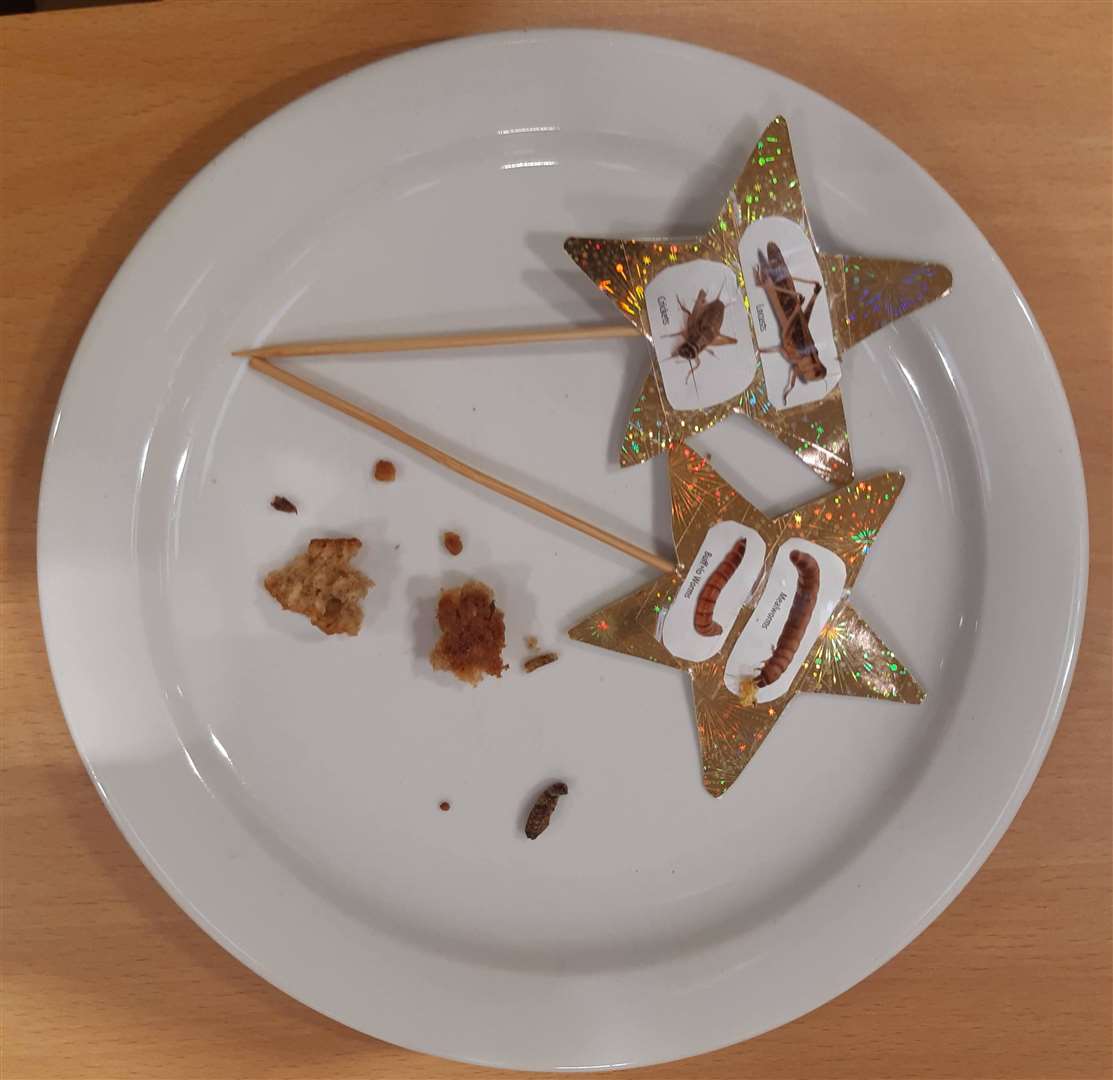The bug biscuits went down well, considering